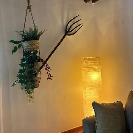 Cozy Canarian With Large Garden 公寓