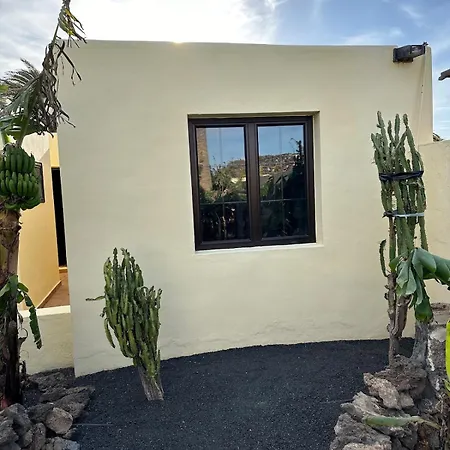 公寓 Cozy Canarian With Large Garden