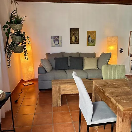 Cozy Canarian With Large Garden 公寓 特吉塞