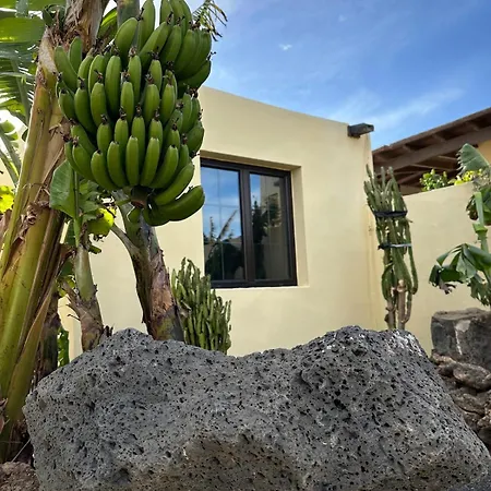 Apartman Cozy Canarian With Large Garden Teguise