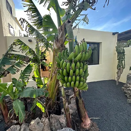Apartman Cozy Canarian With Large Garden Teguise