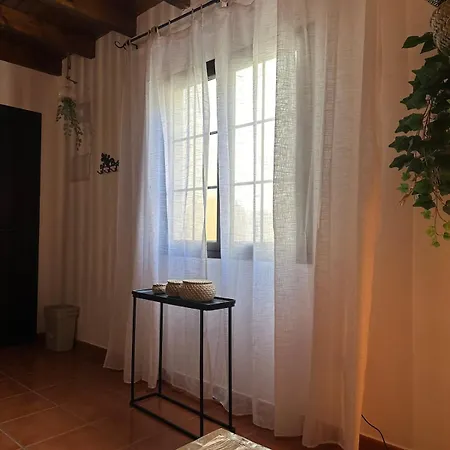 Apartman Cozy Canarian With Large Garden *